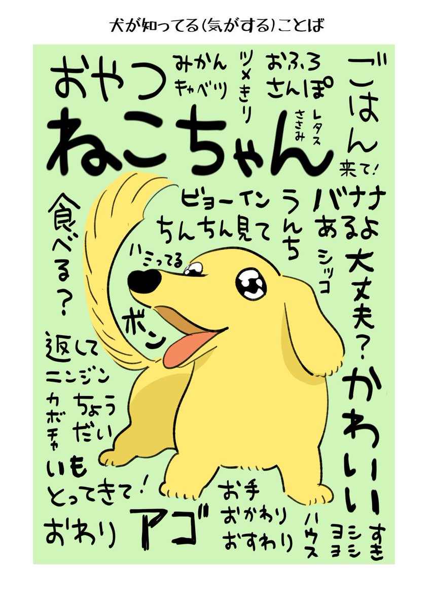 犬と猫が知ってるっぽい言葉 