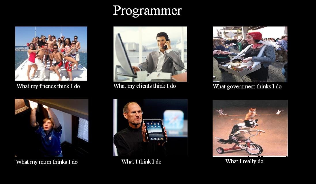 As a part of software development community I would like to make a statement: knowing how to program in Rust or C a complicated library or application doesn't automatically grant you an expertise in politics or social science.