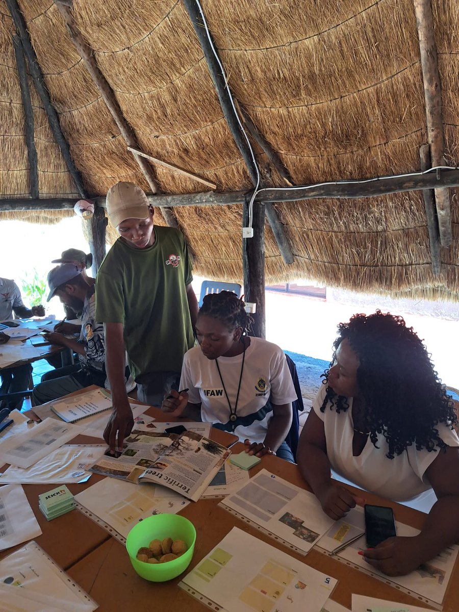 Update from Experts Workshop #2!. Our collaborative efforts have paid off - innovative ideas have taken shape! Using diverse resources like books, internet, and insights from experts, we've crafted a vision for #education. Excited to see these ideas come to life in schools soon!