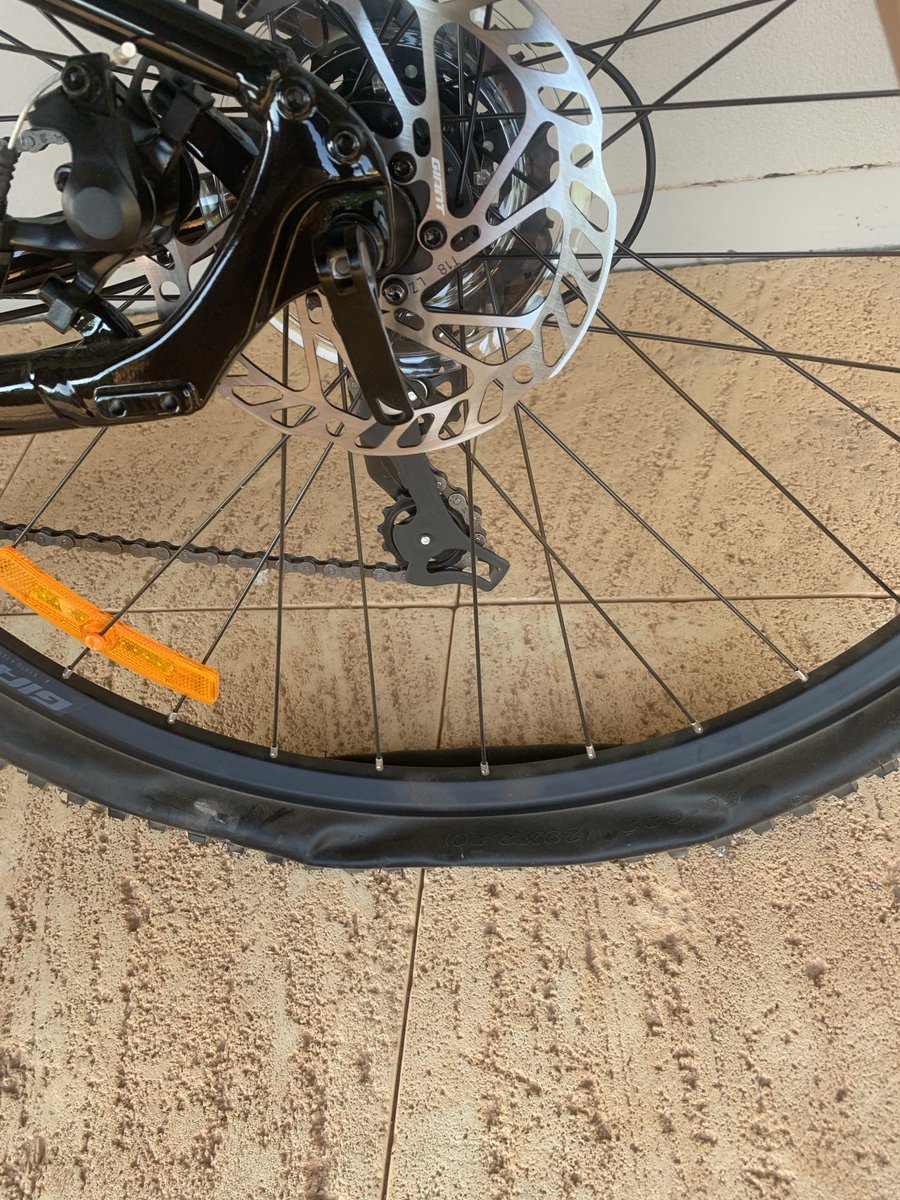 Dal Waters tweet media