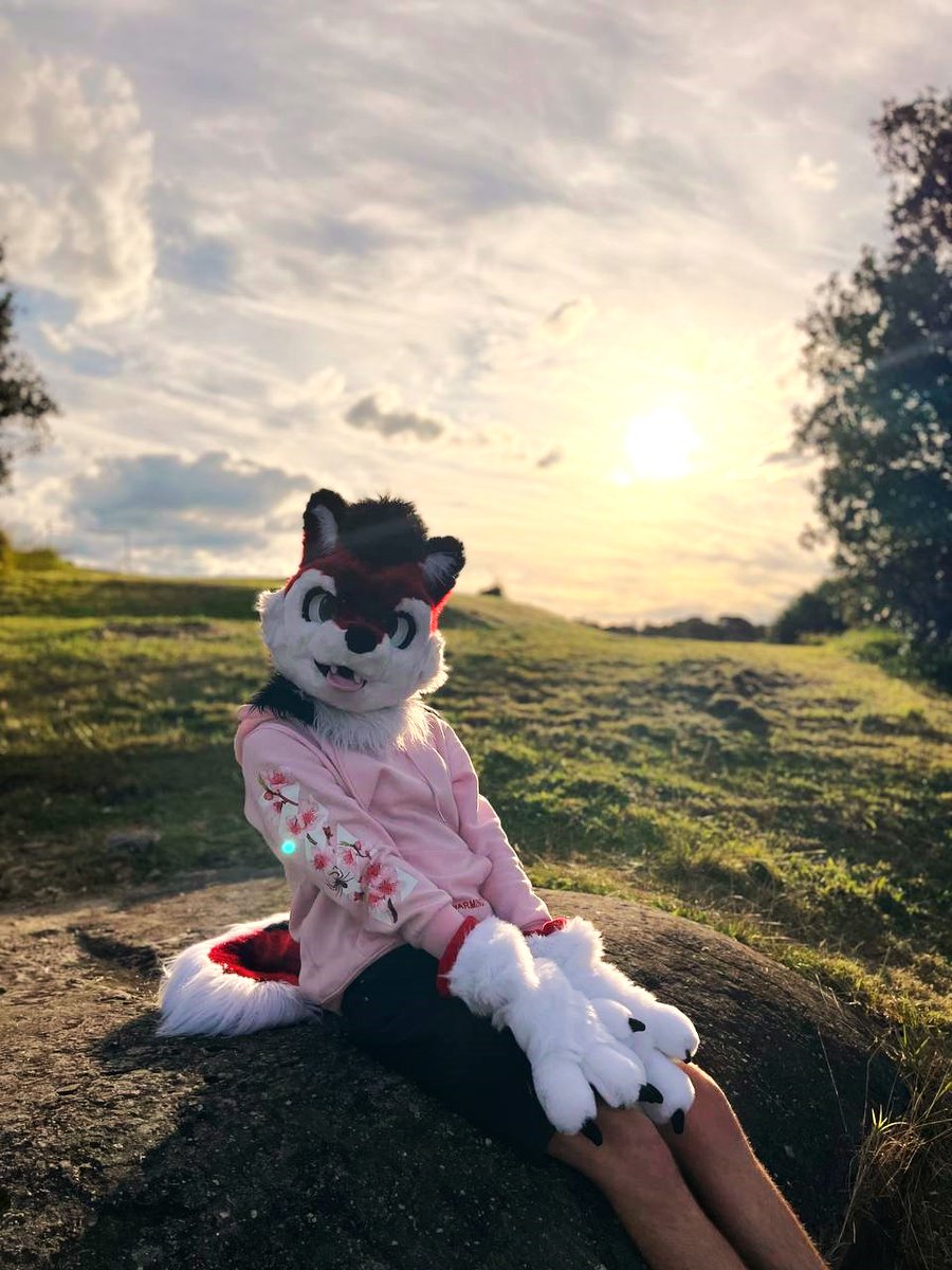 ArcoHusky's tweet photo. Thank you everyone for everything, and I'll be looking forward to seeing and talking to each of you during this recovery journey. If I've left on you read, please send me another message and I'll respond back this time! 6/6
Stay fluffy and happy everyone! 💙☺️
Arco Husky x https://t.co/lI0n1txe2H