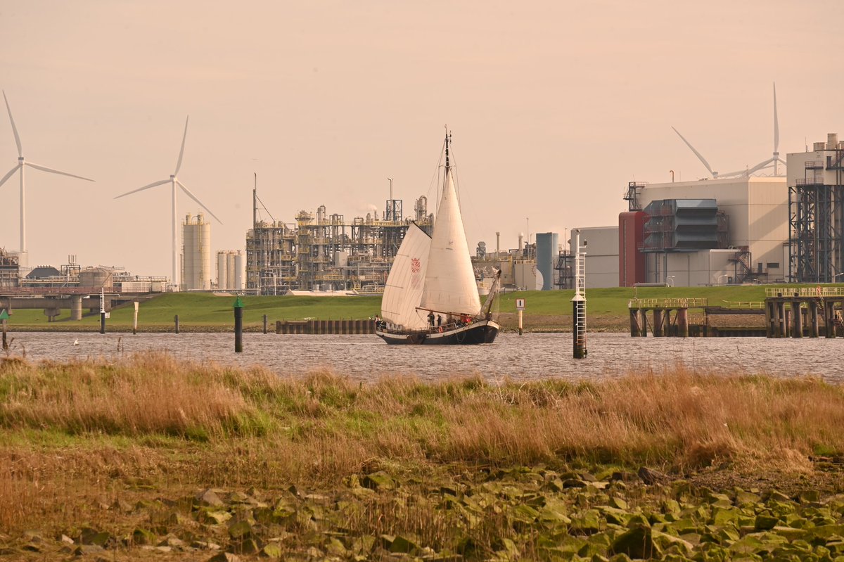 Zeilboot met wind in de zeilen gisteren middag #havendelfzijl #umcg #universiteitgroningen #Zeilboot #groningenseaport