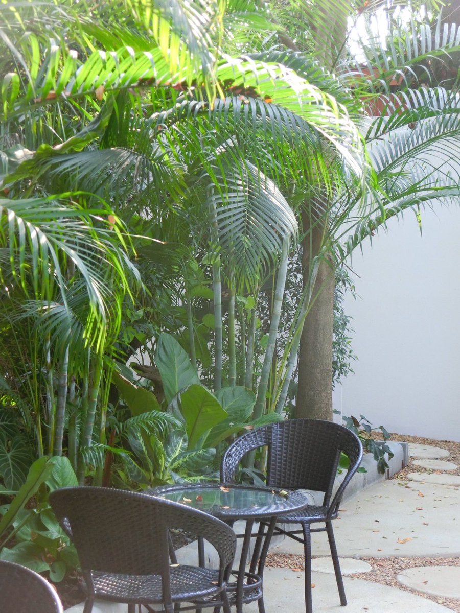 - (@champagne080) on Twitter photo 