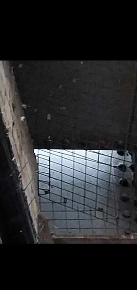 NETWORK RAIL Ref 240310-000108 ☎️03457 11 41 41 #Reading 3 #birds trapped from Mar 13. @networkrail emailed birds freed on 14 but still here Easy exit solution ignored RSPCA 1233621 ☎️0300 1234 999 Please call get these poor birds free. (Details FB ) @SafferTheGaffer #pigeons