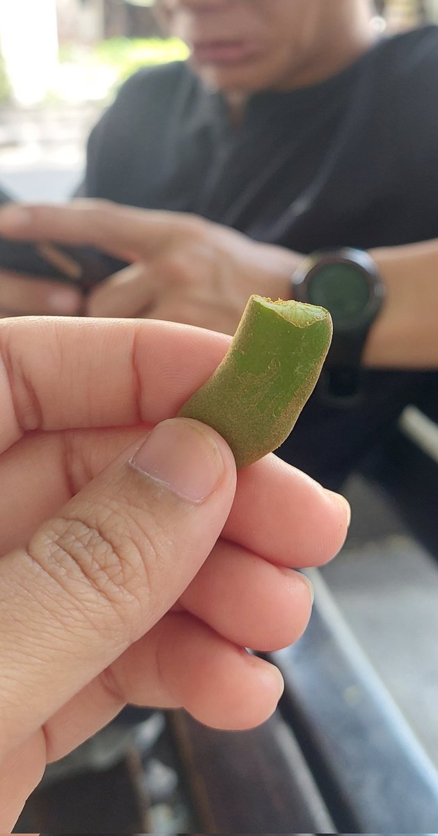 buah asem muda kala itu di pinggiran Malioboro