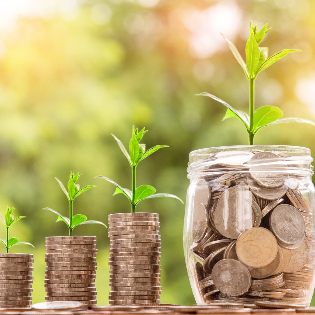 When it comes to securing funding for your business, the application process can be daunting. <a href="/Liquid_CF/">Liquid Corporate Finance</a> have put together some tips for how to give yourself the best chance. 

See more on Plant Planet

plant-planet.co.uk/five-insider-f…

#finance #funding #business #accountancy #capital