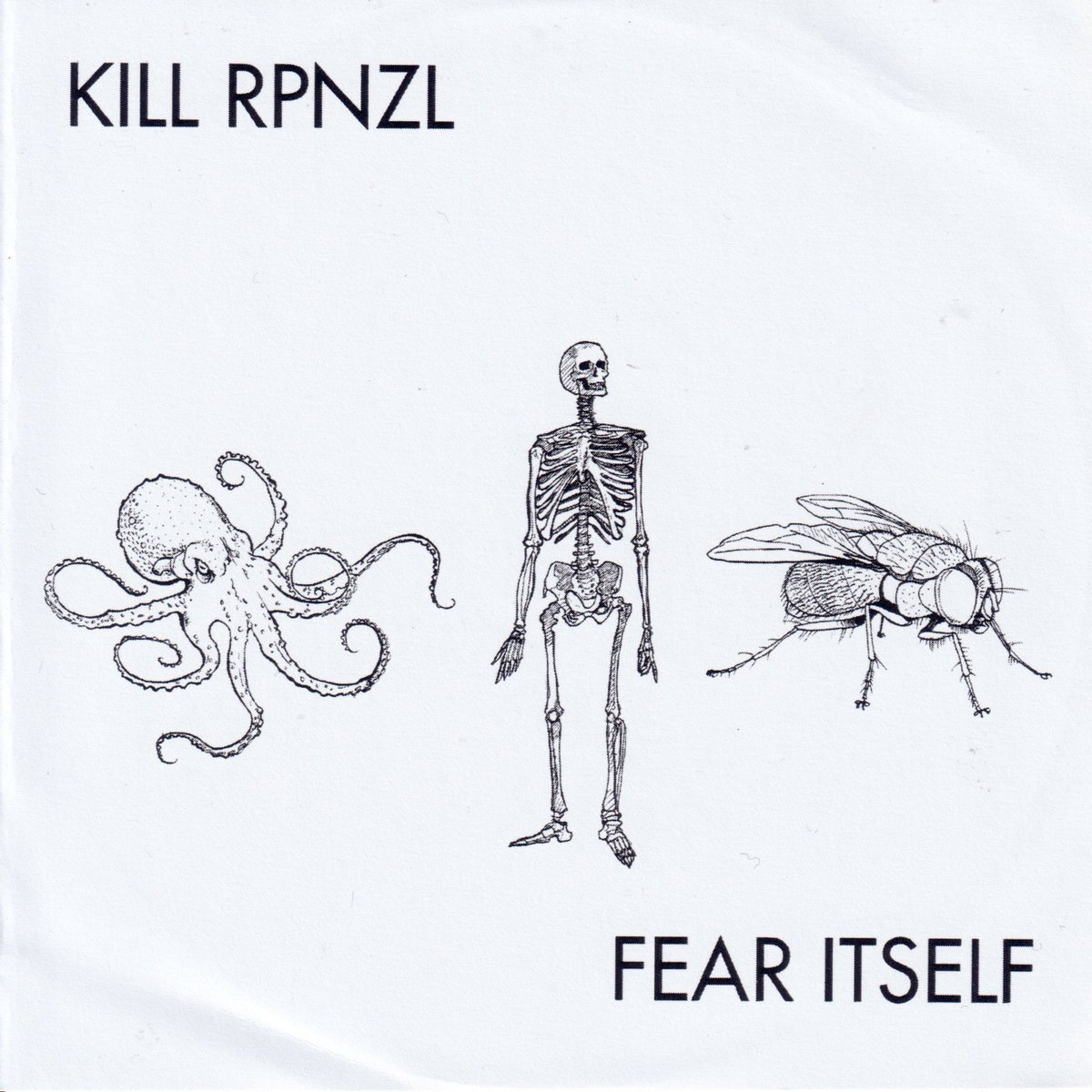 The Medway Scene (Post 2000) tweet media