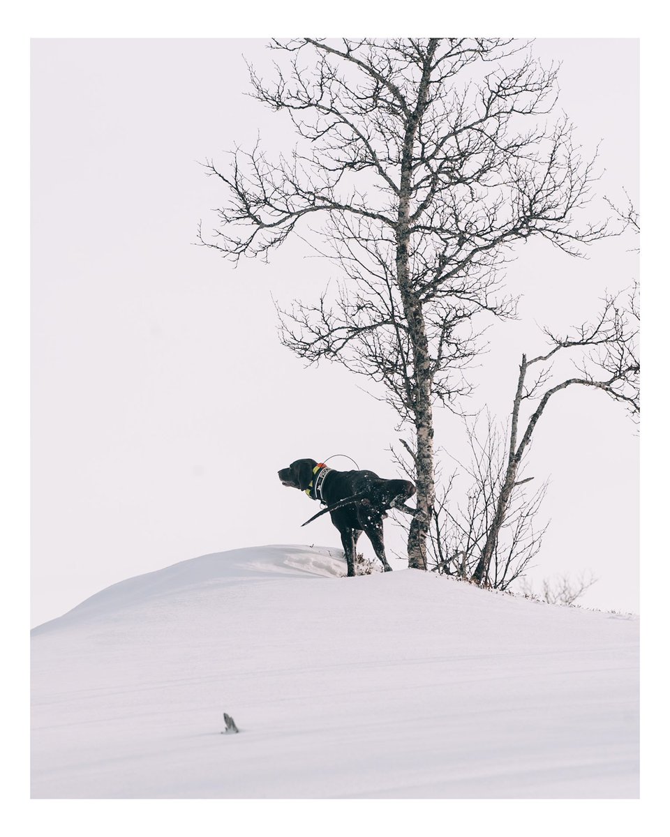 "Nature does not hurry, yet everything is accomplished." - Lao Tzu