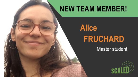 SCALED ERC Project tweet media