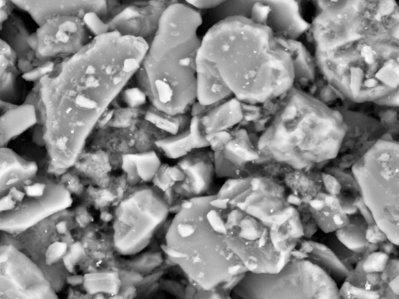 Hitachi_EM's tweet photo. It’s World Oral Health Day ! 🦷
(March 20)
#ElectronMicroscope #electronmicroscopy #WorldOralHealthDay

Toothpaste at 5 kV and 15 kV https://t.co/2UOM215MT3