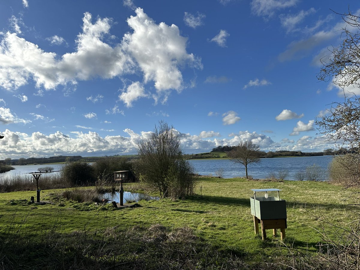 OakhamWeather's tweet image. Lovely trip Rutland water yesterday. Great to see the ospreys and other birds.   @LeicsWildlife @ospreylf