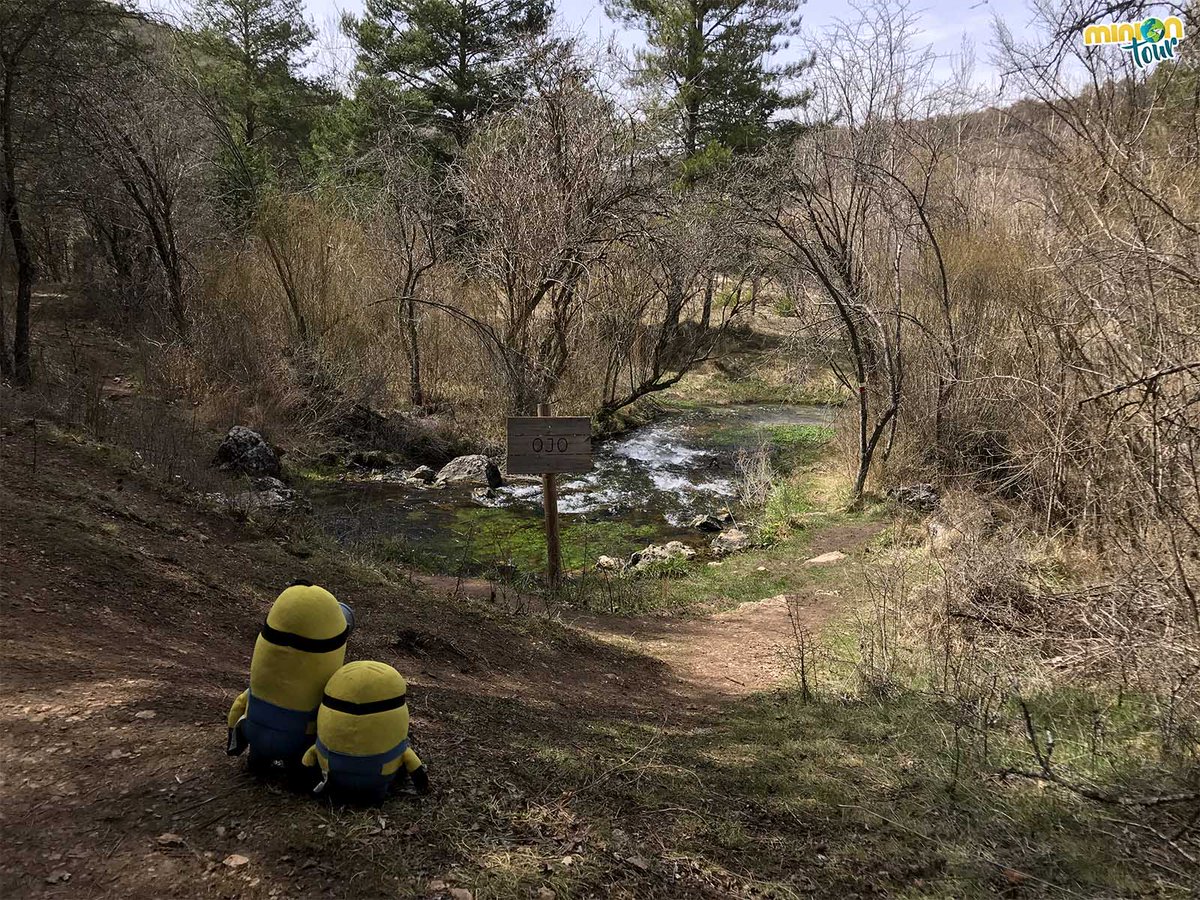 MiniOnTourES's tweet photo. En #Teruel, muy cerquita de El Vallecillo 🌄, en la Sierra de Albarracín están los Ojos del río #Cabriel 👁️. ¿sabes que nace del suelo? 😲 Una pequeña ruta para conocerlos
👉 https://t.co/CB9XKOrR3D
@aragonturismo @aetsa @Sierralbarracin @TurismoTeruel https://t.co/QataWeJf2k