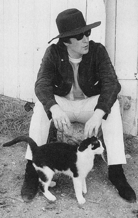 Fact or Fiction? John loved cats. He had 10 while living in Weybridge with first wife, Cynthia.

#Beatles #TheBeatles