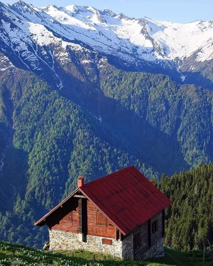 Pokut Yaylası, Rize,Türkiye..