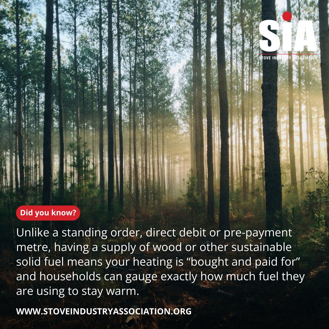 Switch to a sustainable solid fuel stove as a means of keeping your family home warm and cosy, while enjoying the financial benefits it brings. ⁣ Find a stove retailer and make the move today! 🔗: stoveindustryassociation.org #woodburning #woodburningstove #woodburningstoves