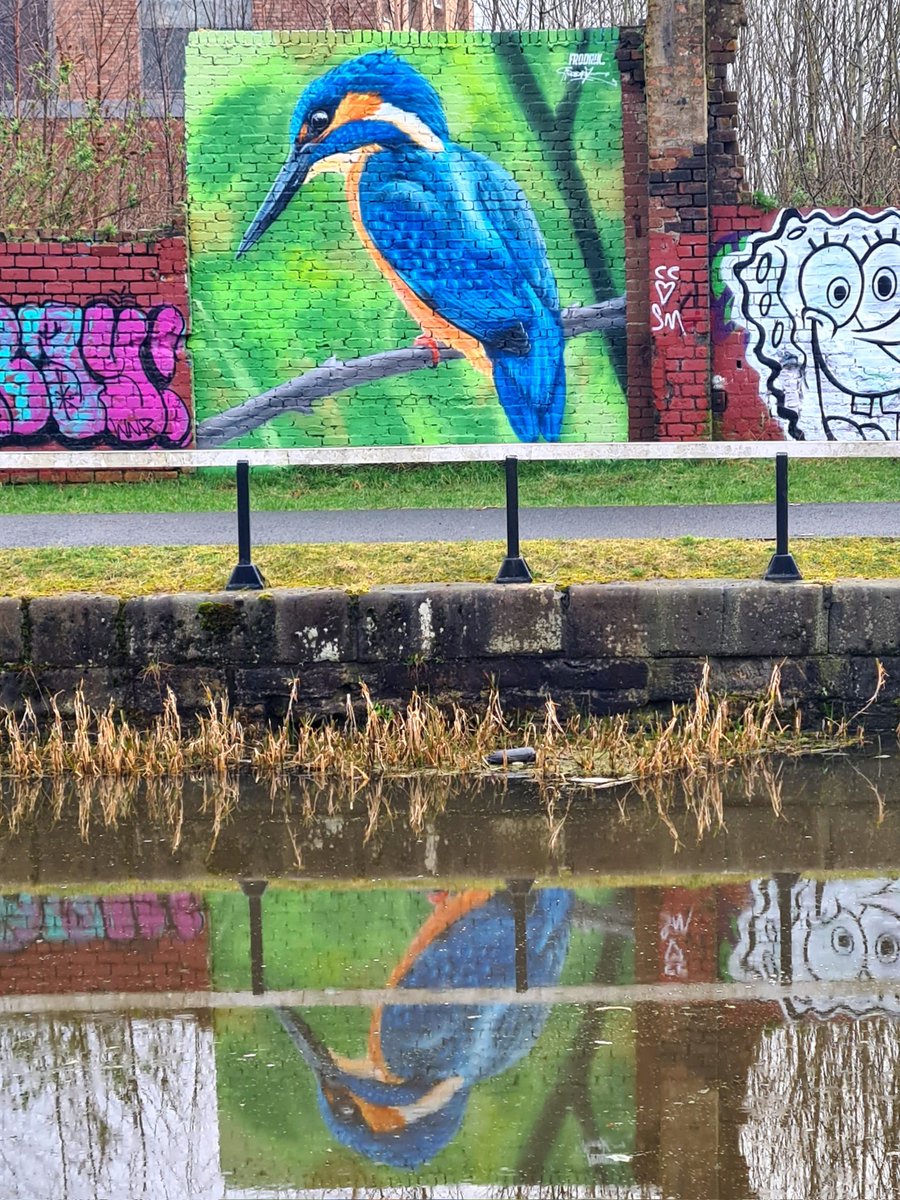 Love this new mural from Frodrik on a wall near Speirs Wharf on the Forth and Clyde Canal in the North of Glasgow.

#glasgow #mural #streetart #glasgowstreetart #scottishstreetart #glasgowmurals #kingfisher #forthandclydecanal #speirswharf