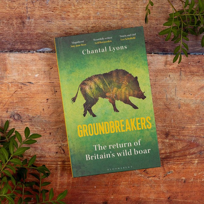 To celebrate the resurgence of wild boars 🐗  we're hosting a fab competition to win 1 of 3 copies of Groundbreakers by <a href="/CSLyons/">Chantal Lyons</a> 📚 🎉 Follow <a href="/gojauntly/">Go Jauntly</a> and share this post to win! Terms here ➡️  gojauntly.com/blog/win-1-of-…