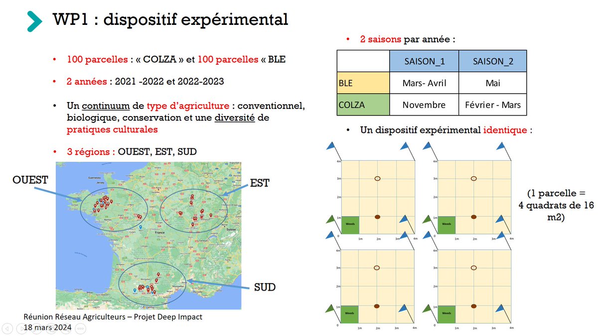 DeepImpact tweet media