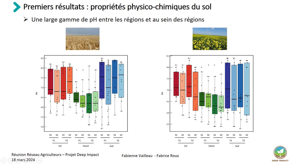 DeepImpact tweet media