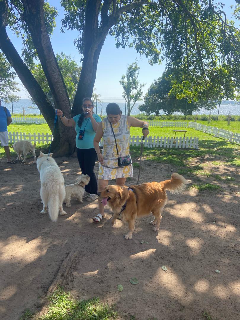 CanineAUganda's tweet image. @garugarepublic hosted two dog clubs in Entebbe, the White Swiss Shepherd Club and the Golden Retrievers Club.🐾🐾 We had a blast 💥🐾🥳🥳..
#WWSclubcau
#GRclubCau
#pedigreedogs
#caudogs
