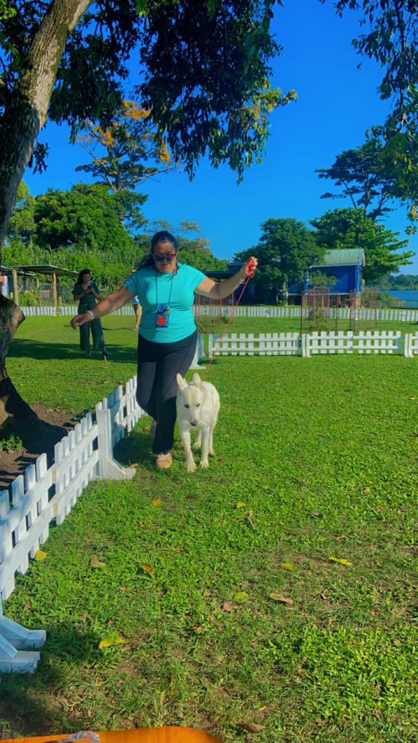 CanineAUganda's tweet image. @garugarepublic hosted two dog clubs in Entebbe, the White Swiss Shepherd Club and the Golden Retrievers Club.🐾🐾 We had a blast 💥🐾🥳🥳..
#WWSclubcau
#GRclubCau
#pedigreedogs
#caudogs