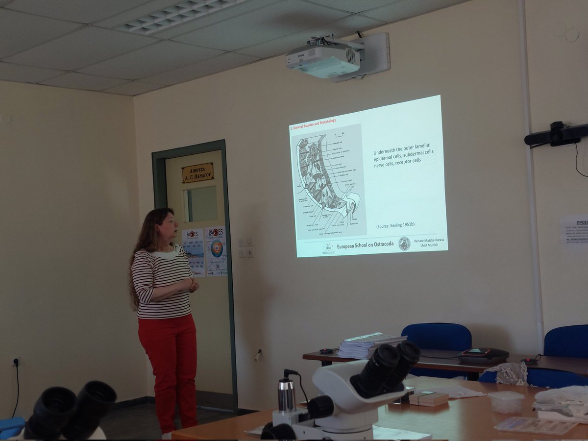 v_navrozidou's tweet photo. Eso 9 starts with Renate Matzke-Karaz  #ostracods #paleontology #europeanschoolonostracoda #geology #biology #waters
@GildeevaOlga https://t.co/j4x0FYX5Mv