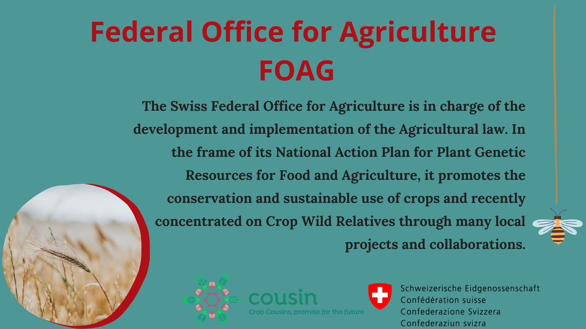 COUSIN project (@cousin_project) on Twitter photo Meet the project 𝗽𝗮𝗿𝘁𝗻𝗲𝗿𝘀! 🍀
COUSIN project involves 25 entities from 12 countries around Europe, including
The BLW Bundesamt für Landwirtschaft <a href="/CHblw/">BLW - OFAG - UFAG</a> (CH) 🇨🇭
blw.admin.ch Meet the project 𝗽𝗮𝗿𝘁𝗻𝗲𝗿𝘀! 🍀
COUSIN project involves 25 entities from 12 countries around Europe, including
The BLW Bundesamt für Landwirtschaft <a href="/CHblw/">BLW - OFAG - UFAG</a> (CH) 🇨🇭
blw.admin.ch