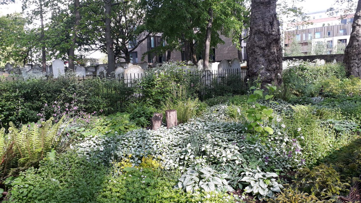 We are delighted to be one of the 21 successful #RewildLondon projects supported by @LDN_environment in partnership with @WildLondon We will be enhancing biodiversity of Bunhill Fields @BunhillHeritage @cityoflondon outdoor learning and volunteer training @PollinatingLT