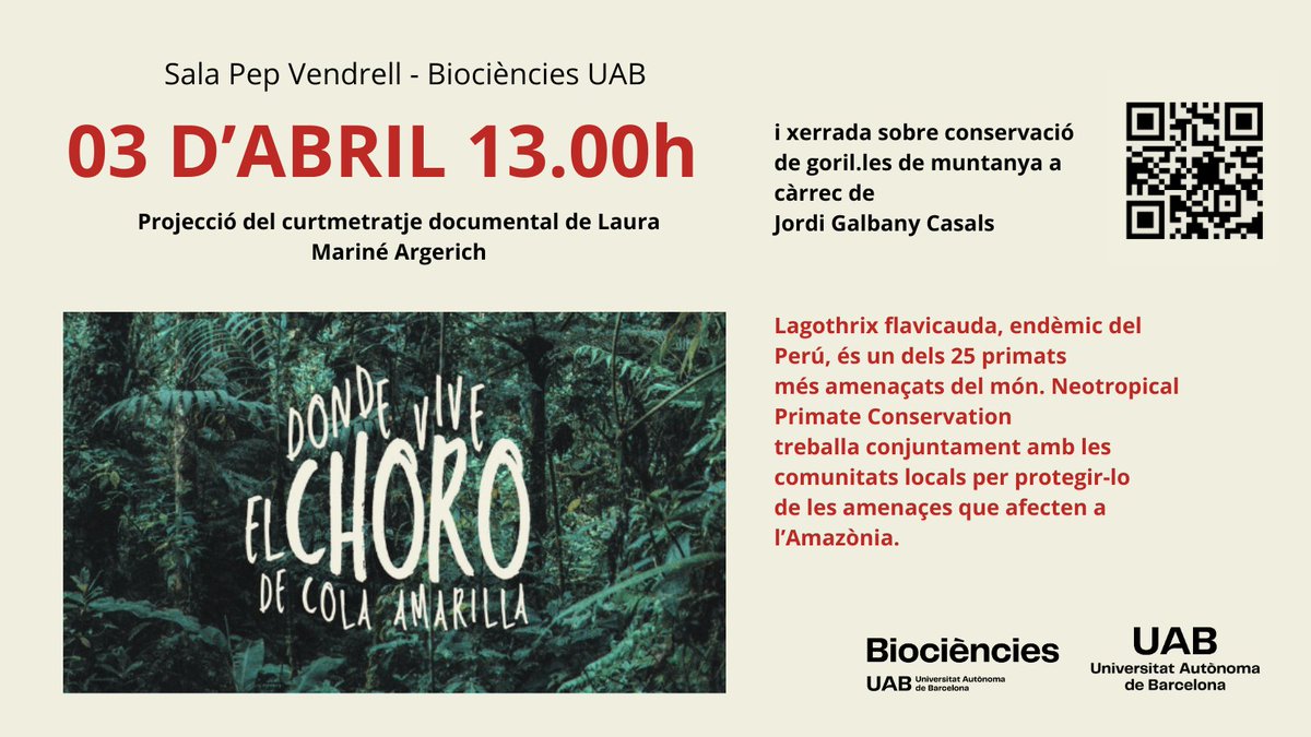 El pròxim 3 d'abril a les 13:00 h hi haurà la projecció del curtmetratge documental de Laura Mariné Argerich a la Sala Pep Vendrell. També tindrem una xerrada sobre conservació de goril·les de muntanya de la mà d'en Jordi Galbany Casals. T'hi esperem!!!😀