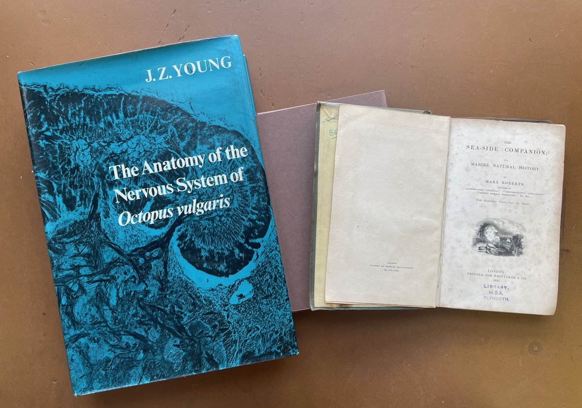 #OTD in 1788 and 1907 respectively Mary Roberts and JZ Young were born. Both accomplished writers on their specialist subjects, we have some of their published works in the library @thembauk. You can search our print collection at mba.ac.uk/our-facilities… to discover more