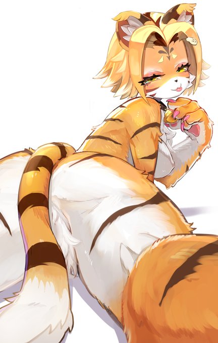 牙音舞米さん@GaonMaimai の新たな姿がメスケモ全開でバビコォーンッ!と来たので
もちゃもちゃ描きました!
#着せ替え舞米 