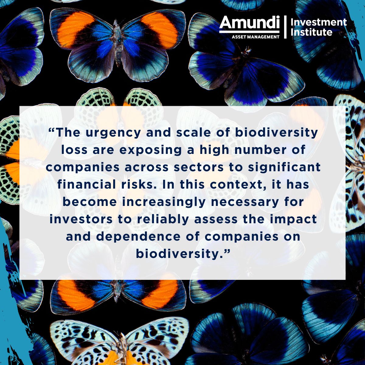 🦋 [#Insights] | How can we ensure a more comprehensive integration of #biodiversity impacts into investment frameworks? Read the ESG Thema #15 to get further insights on the emergence of these biodiversity measurement tools. ⤵︎ lnkd.in/eCvX4JcT