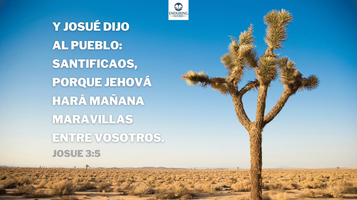 WordEspanol's tweet photo. Dado que se trataba de una batalla espiritual, Josué insistió en que el pueblo se preparara espiritualmente. La instrucción de santificarse implicaba apartarse de lo mundano para enfocarse en el Señor, con la certeza de que Él obraría maravillas en medio de ellos. https://t.co/sYtibyGVzQ