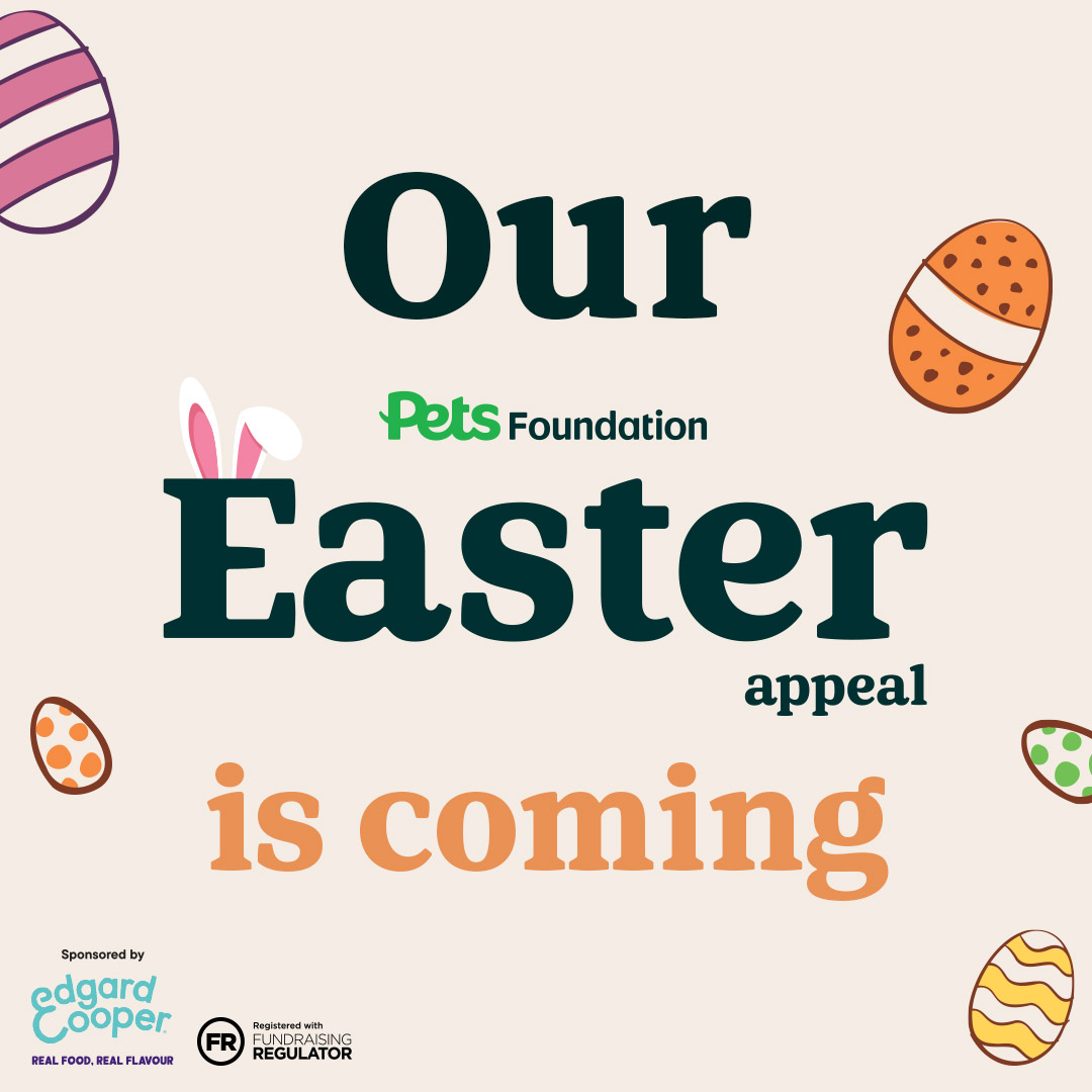 We are extremely grateful to be @PetsatHome Dunfermline's Community Partner and the store is running its Easter Appeal for BRAVEHOUND, starting this Fri 22nd March,finishing on Mon 1st April. All funds donated in the shop will come directly to us. #donations #thankyou #support