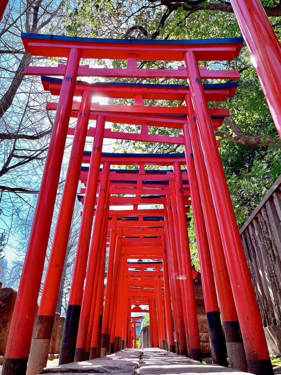 jadoreparis_fr's tweet image. Si vous cherchez quelque chose à faire à Tokyo, ça vous dit de visiter «les dix sanctuaires de Tokyo»?
Voici l’un d’entre eux, le sanctuaire de Nezu. Ses bâtiments principaux ont été construits en 1706. Il faisait beau aujourd’hui, et c’était agréable de s’y promener!☺️