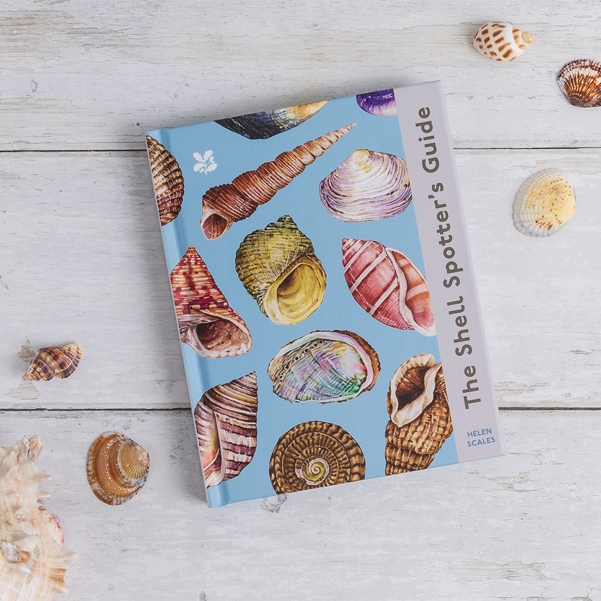 Every shell has a story to tell. Learn more about many of the beautiful and surprising shells found on our beaches with The Shell Spotter's Guide by @helenscales 🐚 Pre-order at ow.ly/SKvc50QSwXh