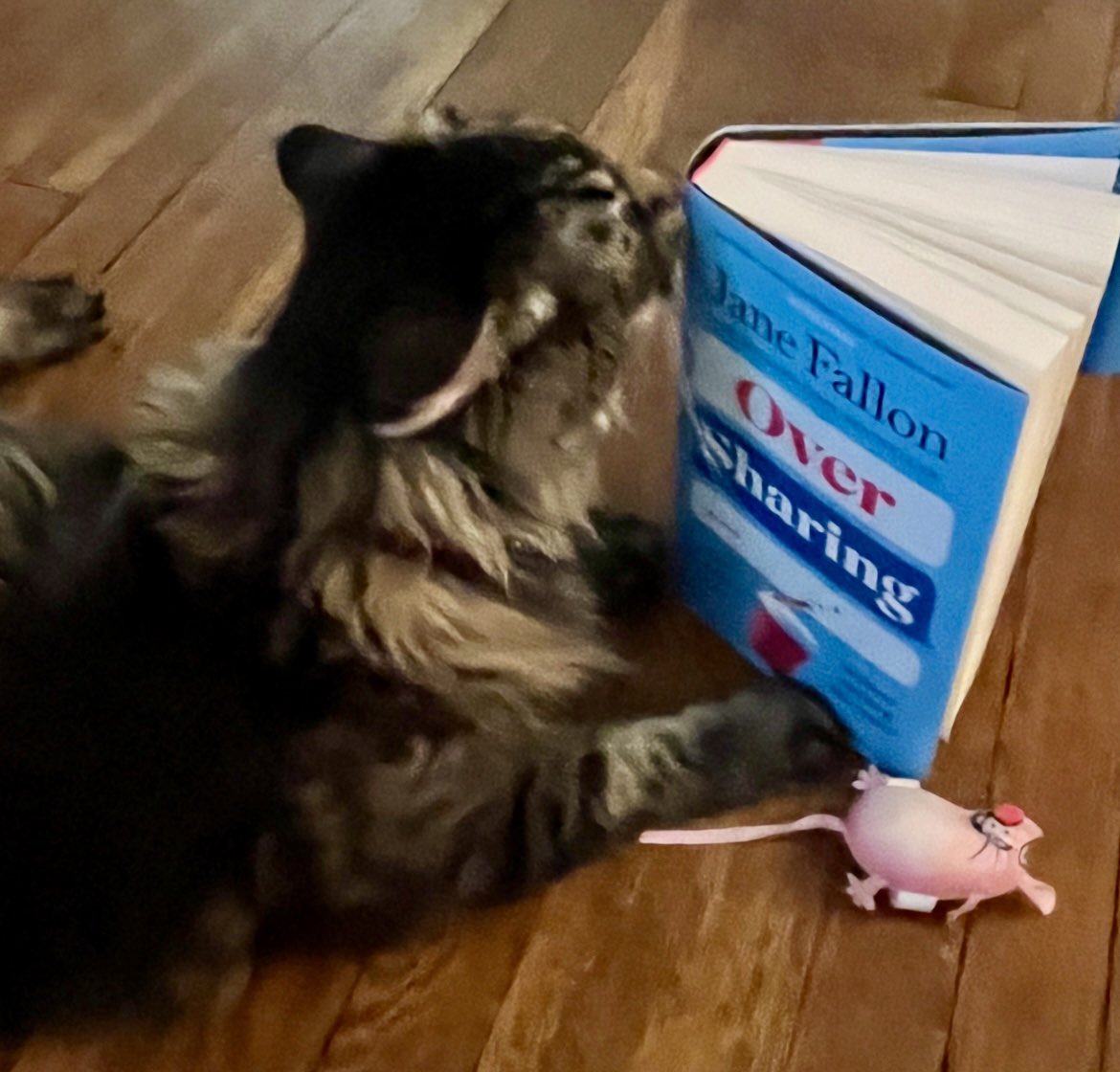 LeopoldLoveday's tweet photo. Leopold LOVED doing #PromoCat for Auntie @JaneFallon 
#OverSharing Check out ALL her books- off the shelf or on Kindle! 📚🐾❤️📚#supportlocal https://t.co/RZW9nAbaGr
