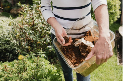 deavitacom's tweet photo. Welche Sträucher mögen #Kaffeesatz? Für diese Arten ist das Hausmittel ein guter #Dünger
https://t.co/WEIfcRGqxX
#gardening https://t.co/C3iVov6elI