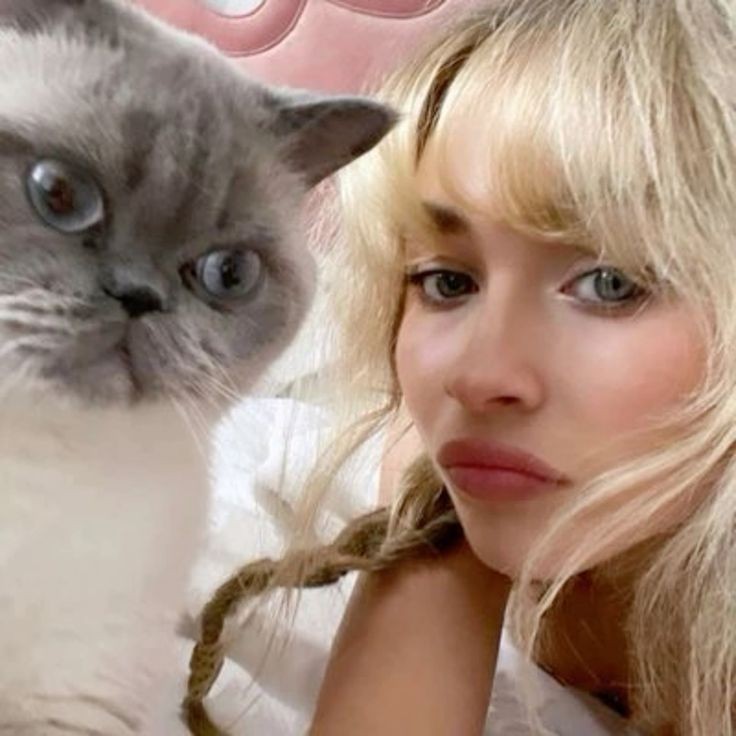 pov: você enlouqueceu e aceitou namorar comigo e agora essa é sua galeria