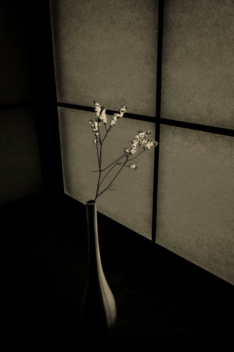 StillLifePhoto tweet picture