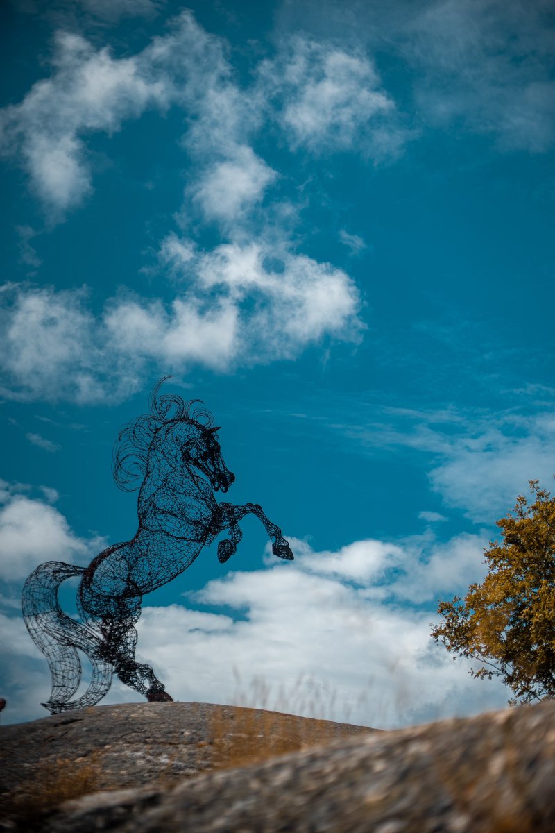 Cederfjärd tweet media