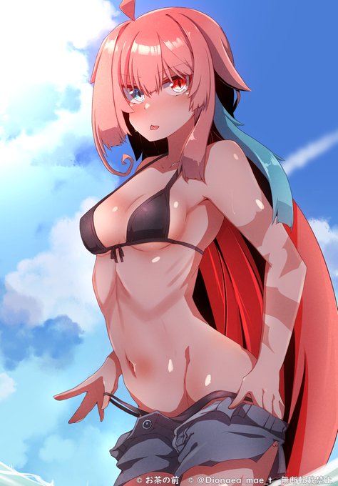 ほぼ毎日うちの子       
551枚目 ランタン

んべっ 