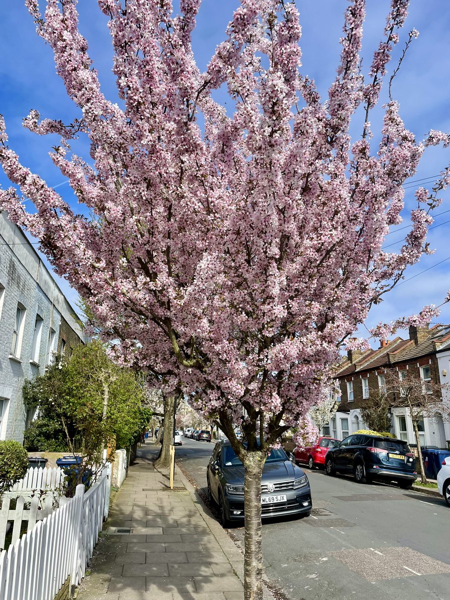 ChiswickCafe's tweet photo. #ActonGreen #Chiswick ๐ธ ๐ผ โ๏ธ https://t.co/sed2uWyq8U
