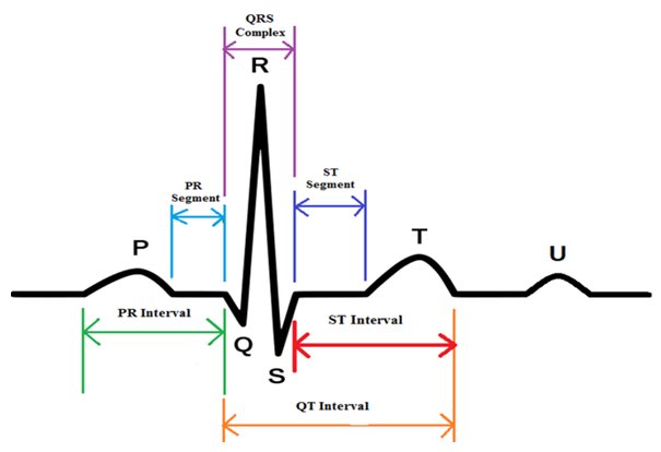 <a href="/CCSCTE/">Cleveland CTE</a> Diagnostic Medicine students have begun the EKG certification unit. Do you know what this means?