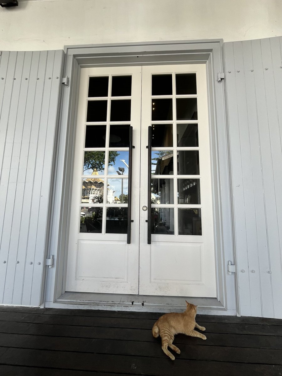 CurtisSChin's tweet photo. Should have seen it coming, but I didn’t.…“The #Haint 👻 in the Window.”

Just like this #cat that appeared as I read the short story #TheHaintInTheWindow in @TananariveDue’s “The Wishing Pool &amp; Other Stories” at this old (1874) 🇲🇾 one-time courthouse in #Kuching, the cat city. https://t.co/19hrkNnMzT