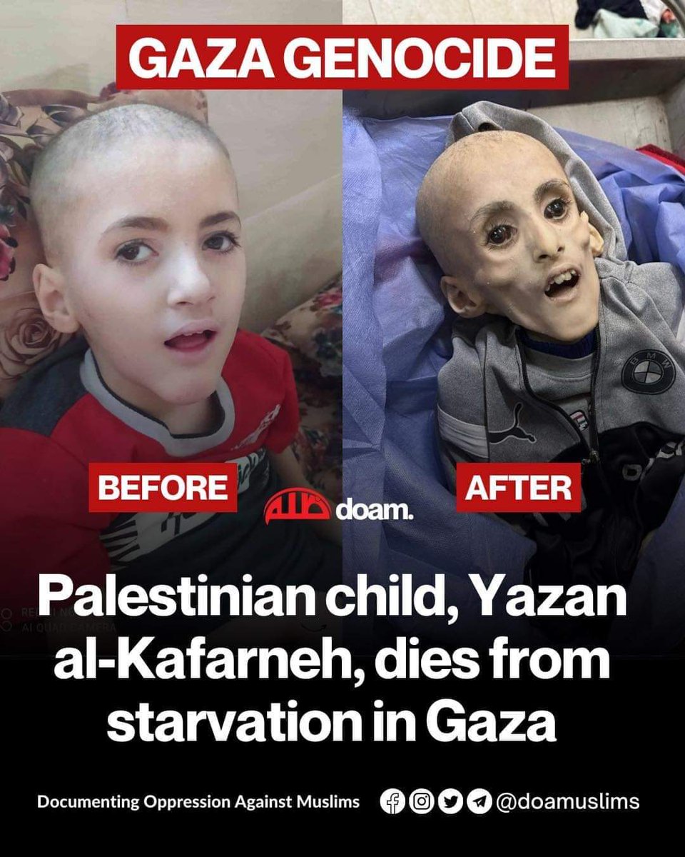 ZiaRph's tweet photo. We will Never forget . 💔
We will NEVER stop sharing
ᖴᖇᗴᗴ ᑭᗩᒪᗴSTIᑎᗴ !! 🇵🇸 https://t.co/kr5qB96amw