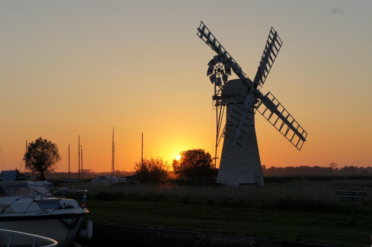 BureCottage tweet media