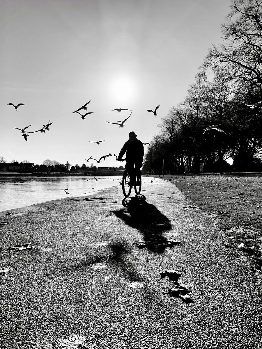 Cycling Along.
.
.
#ShotoniPhone #iphonephotographer #mobilephotographer #smartphonephotographer #mobileshot #streetphotography #streetphotography #riverside #blackandwhitephotography #cyclinglife #monochrome #lightandshadow #silhouette