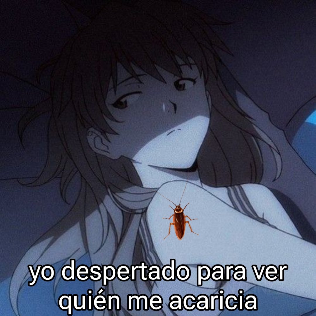 wikipistacho's tweet photo. https://t.co/ls3QO6iT3D