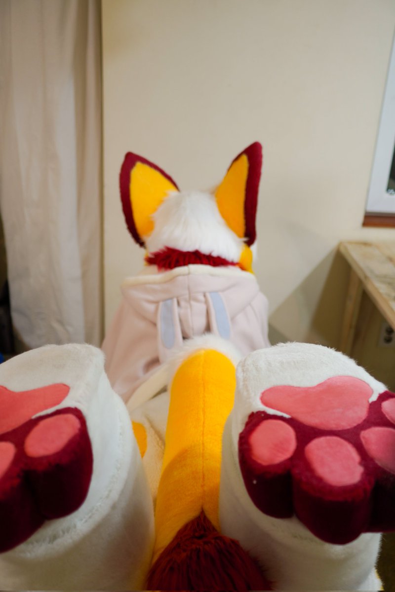 EvieKouji's tweet photo. Paws?🐾 https://t.co/DPex7eG4mR